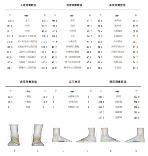 3D foot scanner 三维足部扫描仪