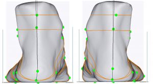 3D foot scanner