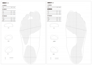 3D foot scanner